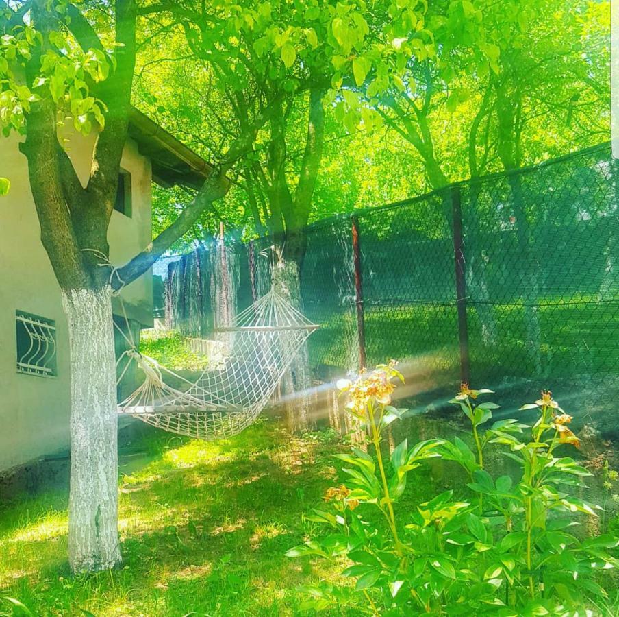 Keep Calm Garden Villa Saraybosna Dış mekan fotoğraf